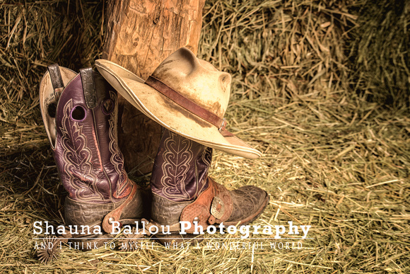 Ruby Valley 2014-18